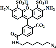 6-AF488 疊氮己酰胺